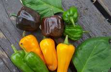 Gardening-Specific Live Chats