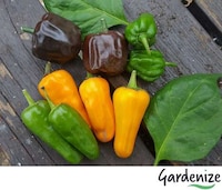 Gardening-Specific Live Chats Image 1