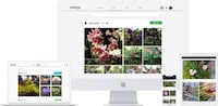 Gardening-Specific Live Chats Image 3
