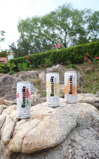 Antioxidant-Packed Hard Seltzers
