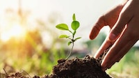 Hyper-Precision Planting Systems