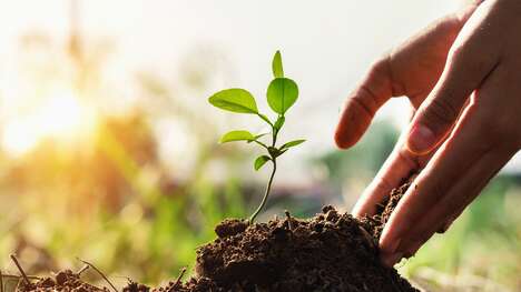 Hyper-Precision Planting Systems