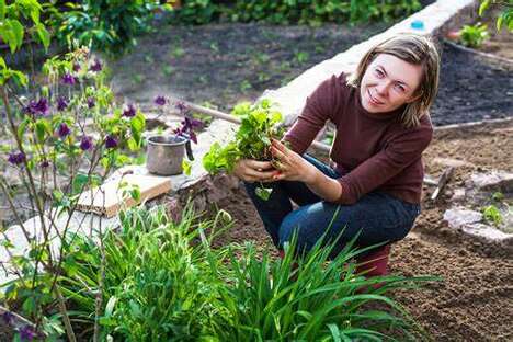 Beginner-Friendly Gardening Platforms