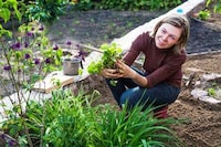 Beginner-Friendly Gardening Platforms