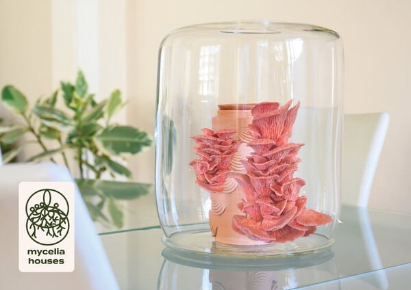 Nature-Connecting Products