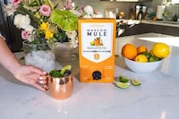 Boxed Moscow Mules Image 1