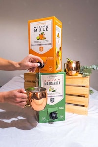 Boxed Moscow Mules Image 2