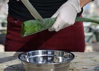 Aloe Vera-Specific Knives Image 1