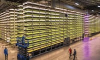 Autonomous Indoor Farming Drones Image 1