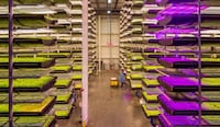 Autonomous Indoor Farming Drones Image 2