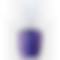 LA-Inspired Nail Lacquers Image 1