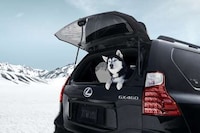 Luxury Rugged SUVs Image 5