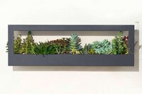 Minimal Smart Growframes