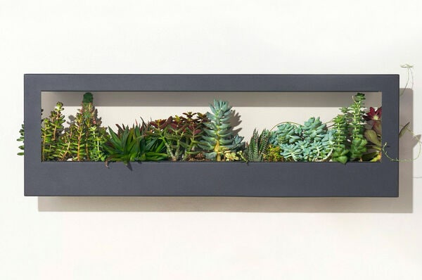 Minimal Smart Growframes