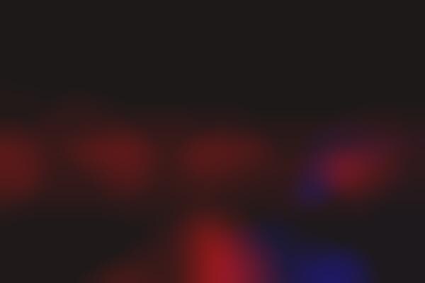 Dance-Focused Nightclubs
