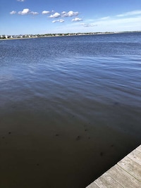 Comprehensive Water Quality Apps