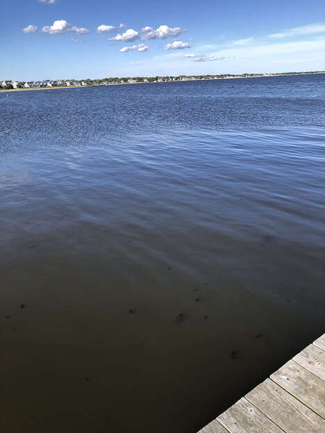 Comprehensive Water Quality Apps