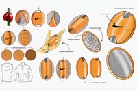 Branded Athlete Fidget Tools Image 4