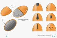 Branded Athlete Fidget Tools Image 5
