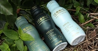 Ready-to-Drink Immunity Coffees Image 1