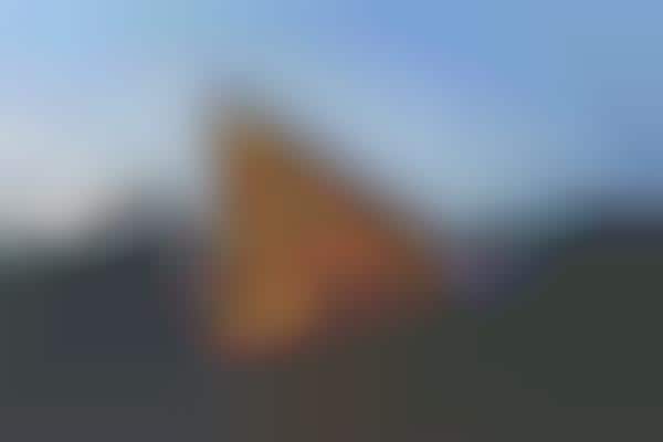 Picture of Off Grid Rentals: Unique Tiny Cabins and Off Grid Vacation Homes