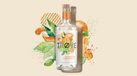 Low-ABV Botanical Spirits Image 4