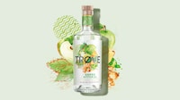 Low-ABV Botanical Spirits Image 5