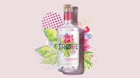 Low-ABV Botanical Spirits Image 6