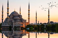 Luxurious 22-Country Cruises Image 3