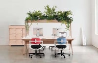 Work-Desk Greenery Accessories