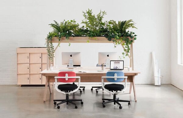 Work-Desk Greenery Accessories