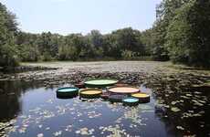 Large-Scaled Lily Pads