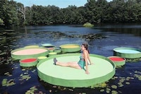 Large-Scaled Lily Pads Image 2