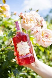 Ultra Low-Alcohol Gin Spirits Image 2