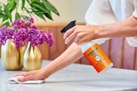 Aromatic Pumpkin Household Cleaners