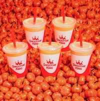 Pumpkin-Infused Smoothies Image 1