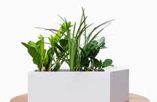 Smart Ambient Moisture Planters