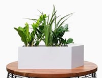 Smart Ambient Moisture Planters Image 1
