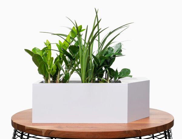 Smart Ambient Moisture Planters