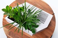 Smart Ambient Moisture Planters Image 2