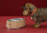 Fashion House Dog Bowls