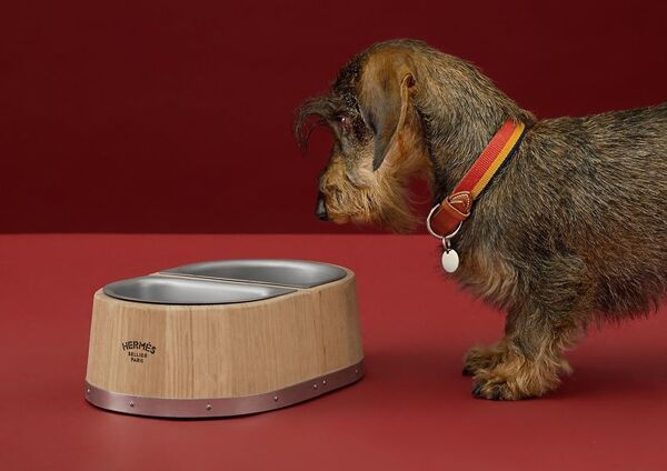 Fashion House Dog Bowls