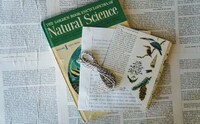 Woodland Nursery Decor Image 2