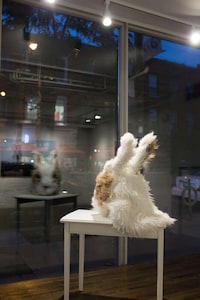 Pop-Up Art Exhibits Image 1