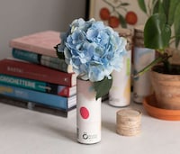 Reusable Bottle Birch Waters Image 4