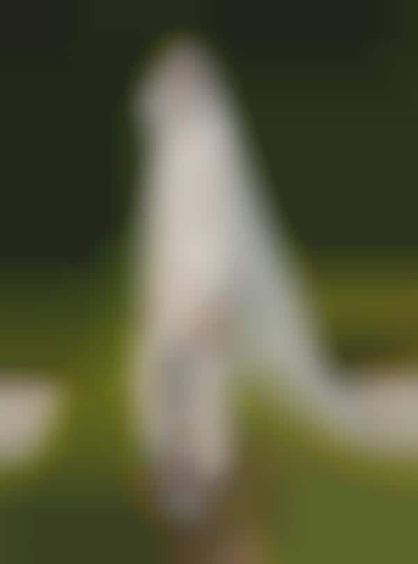 Accessible Bridal Couture