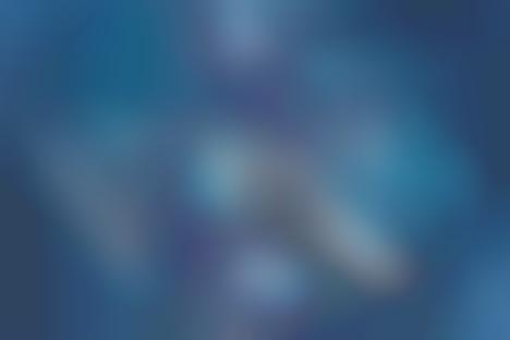 Denim Tonal Casual Sneakers