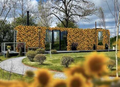 Tranquil Sunflower Hotels