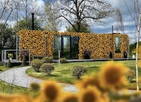 Tranquil Sunflower Hotels