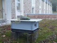 Funneled Murder Hornet Traps Image 3